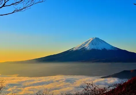 Mount Fuji Travel